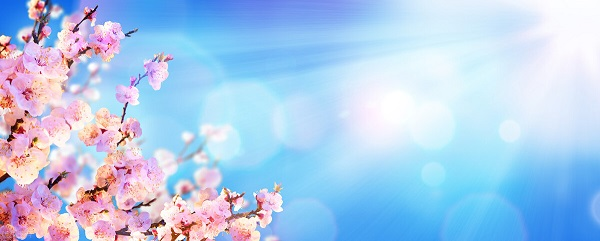 戰(zhàn)疫情，北京韋林公司全體員工齊心協(xié)力共克時艱！